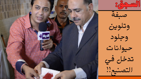 السجق | شاهد بالصور الطرق المرعبة في التصنيع السجق | شاهد بالصور الطرق المرعبة في التصنيع