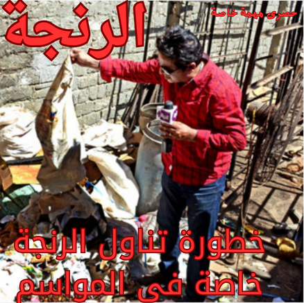 الرنجة