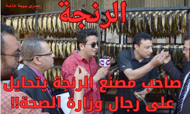 الرنجة