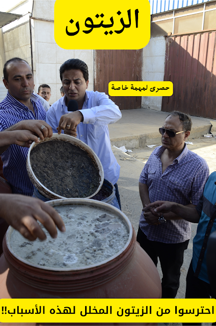 الزيتون الزيتون