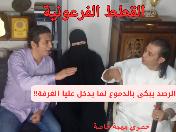 القطط الفرعونية