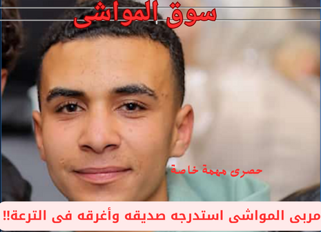 سوق المواشى سوق المواشى