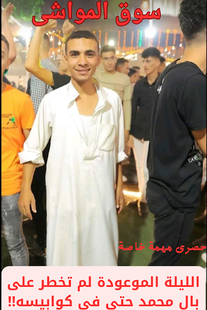 سوق المواشى سوق المواشى