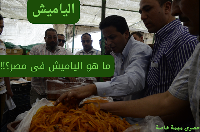 الياميش