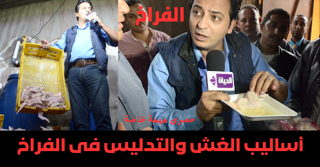 الفراخ الفراخ