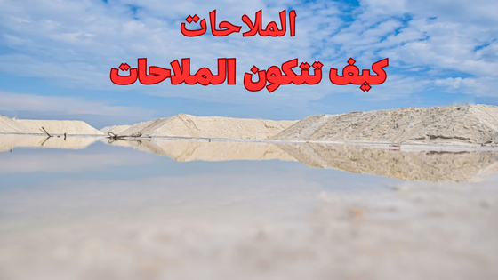 الملاحات