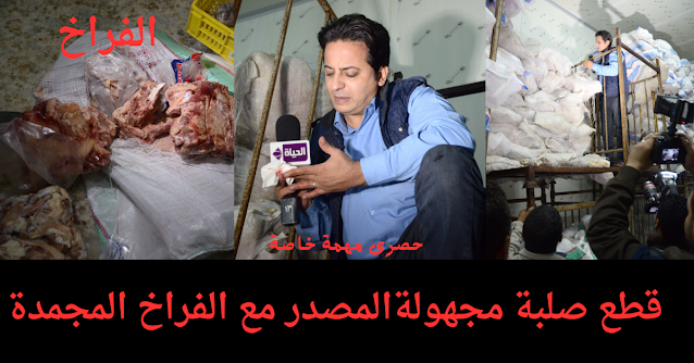 الفراخ الفراخ