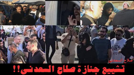 صلاح السعدنى صلاح السعدنى