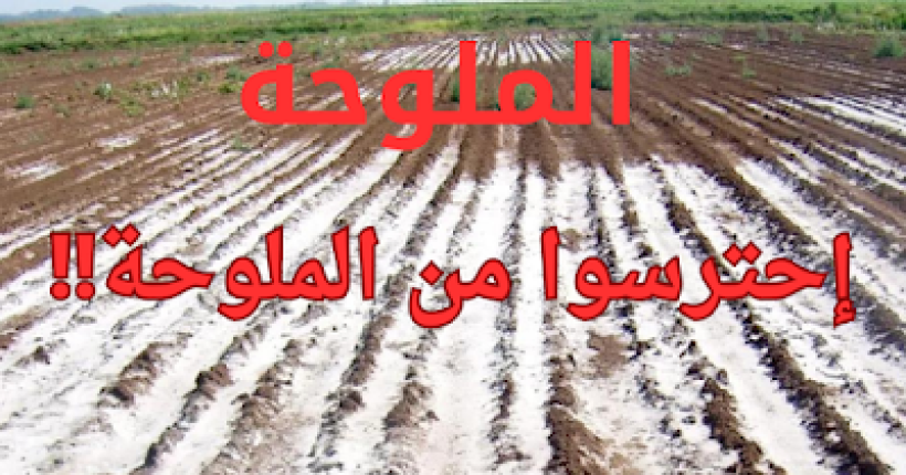 D8AAD8B5D985D98AD98520D8A8D8AFD988D98620D8B9D986D988D8A7D98620-202024-07-16T133552.195