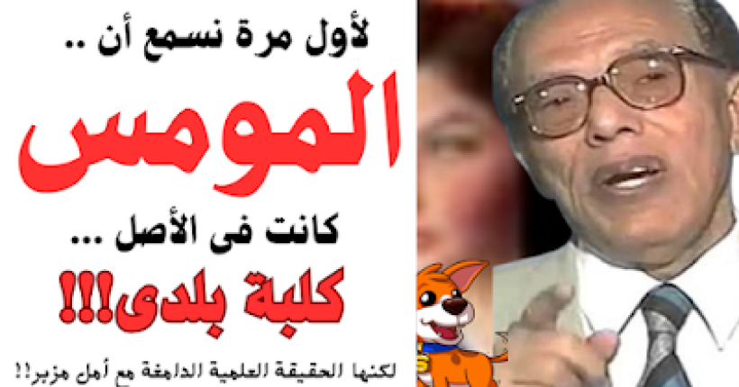 D8AAD8B5D985D98AD98520D8A8D8AFD988D98620D8B9D986D988D8A7D98620-202024-08-04T061924.886
